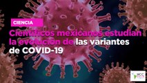 Cien­tí­fi­cos me­xi­ca­nos es­tu­dian la evo­lu­ción de las va­rian­tes de CO­VID-19