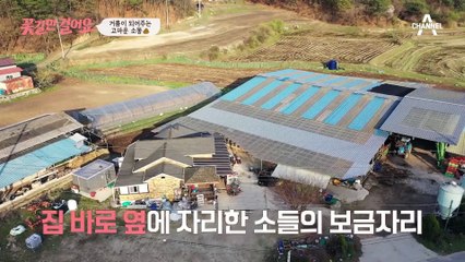 50년 넘게 이어져 온 고된 일상! 길동무 이창훈의 만류에도 계속 일하는 주인공