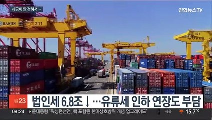 빡빡한 나라살림…세수 펑크 우려에 재추계까지