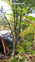 Proses evakuasi bus yang alami kecelakaan dan jatuh ke jurang sedalam 15 meter di daerah Melaya.