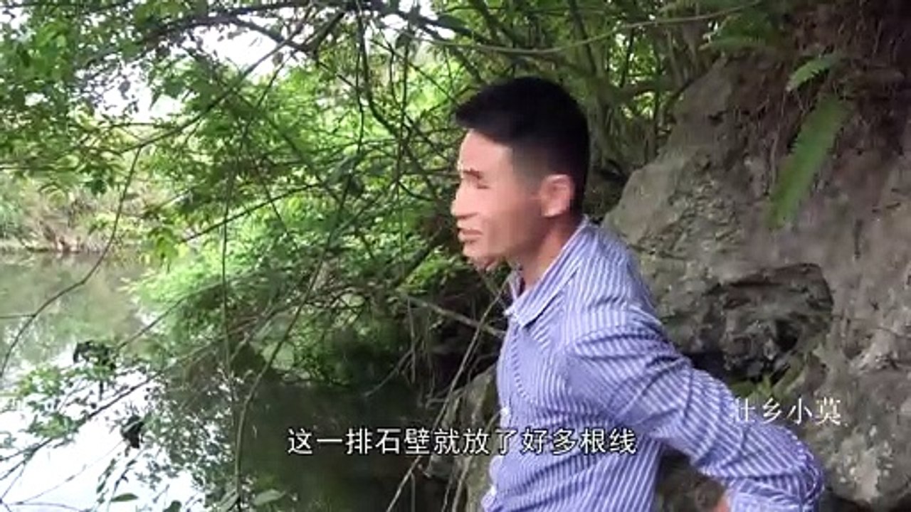 钓鱼只要用对诱饵，渔获自然大丰收，条条都是值钱货【壮乡小莫】