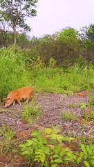 Beta numberi maa 10 numberi