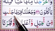 36 Surah Yaseen Verses EP-14 _ Learn Surah Yaseen Word by Word _ Read Quran at Home Daily