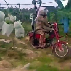 Smart Farming Transport System #shorts #viral #shortsvideo #video #innovationhub