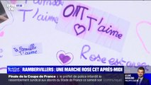 Vosges: les habitants de Rambervillers pourront rendre hommage à la fillette lors d'une 