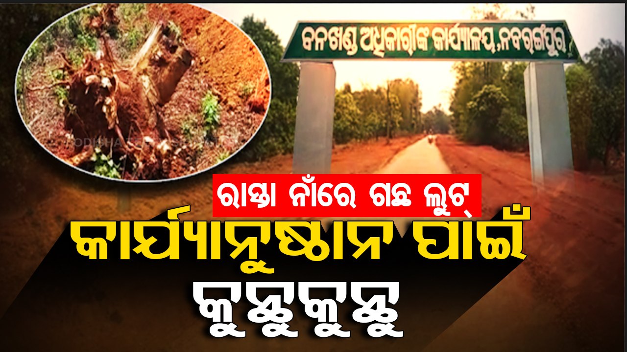 Thousands of trees felled for road expansion in Nabarangpur, departments play blame game