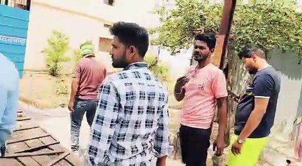 Video: Questions on the arrangement for catching cattle