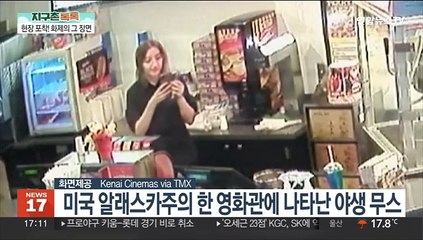 [지구촌톡톡] 미국 알래스카주의 한 영화관에 나타난 야생 무스 外