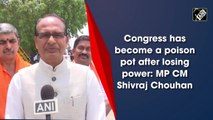 Congress has become a poison pot after losing power: MP CM Shivraj Chouhan