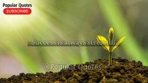 Motivasi untuk mencapai kesuksesan oleh Andrew tate quotes part 1