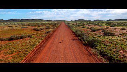 Koko: A Red Dog Story Trailer #1 (2023) Sarah Woods Drama Movie HD