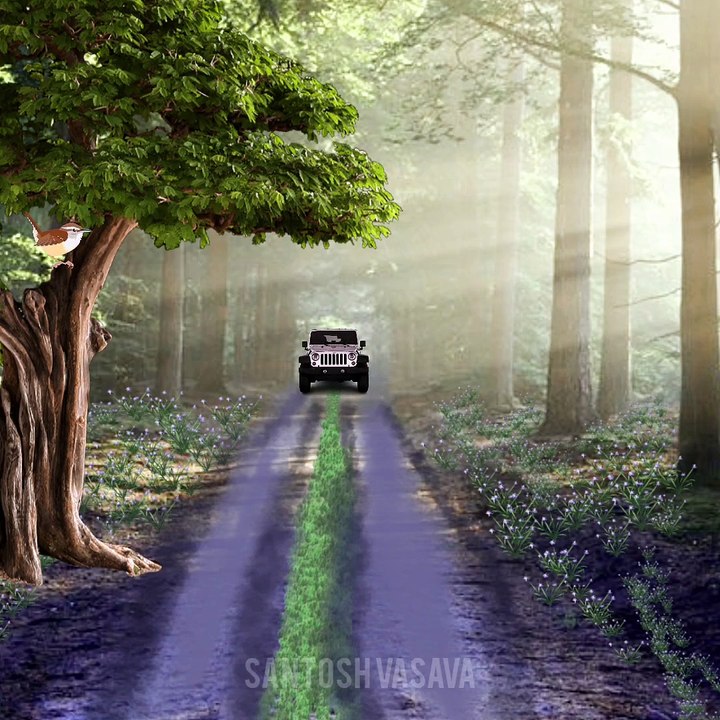 Big elephant came in front of the jeep in the forest #animals #animation #shorts