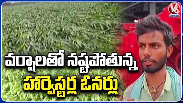 Not Only Farmers, Harvester Owners Also Facing Problems In Loss Due To Rains _ V6 News