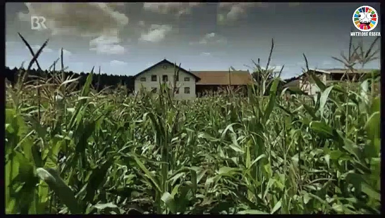 Unsichtbares Land - Doku