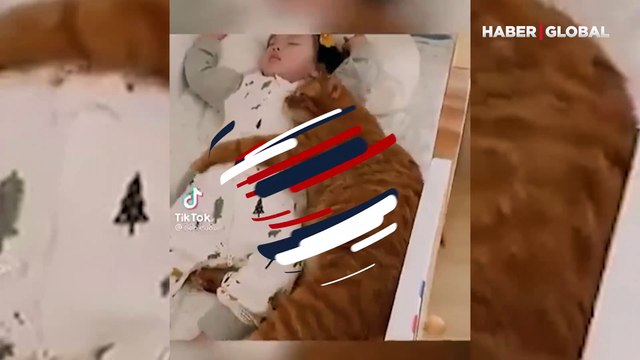 Küçük kıza sarılıp uykuya dalan kedi izleyenleri duygulandırdı