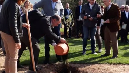 Περιοδεία στη Φωκίδα πραγματοποίησε ο Κυριάκος Μητσοτάκης - Φύτευσε υπεραιωνόβια