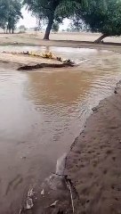 पुल में कचरा फंसने से दो नहर जलमग्न होकर एक साथ बहने लगी