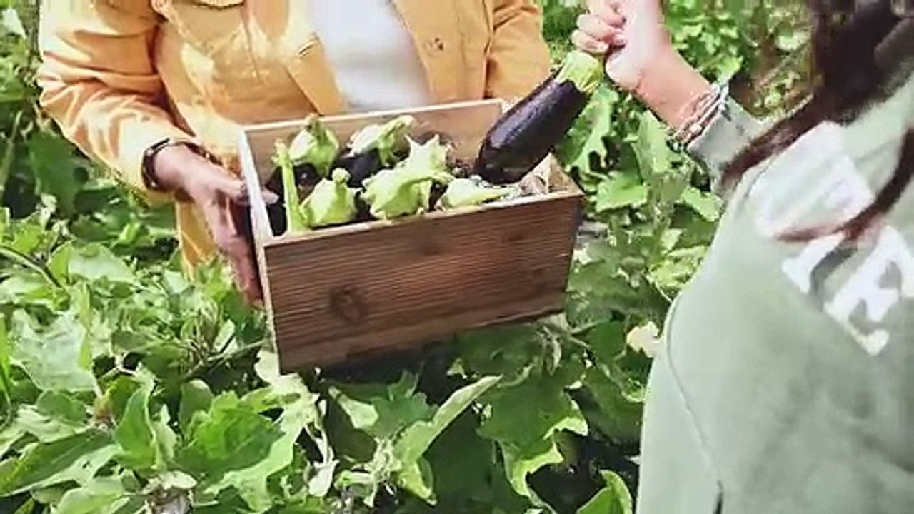 Why is eggplant terrible for the kidneys? video Dailymotion