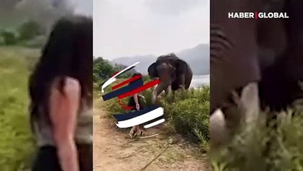 Eline muzunu aldı, dalga geçti ama sonu kötü bitti: Filin zekası ve intikamı şaşırttı!