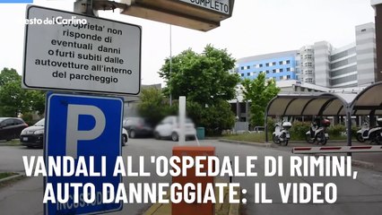 Vandali all'ospedale di Rimini, auto danneggiate: il video