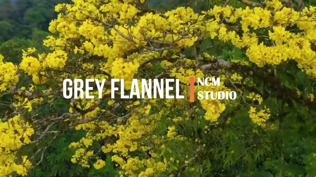 Grey Flannel - Vans in Japan: Alternative Music, Angry Music, Action Music