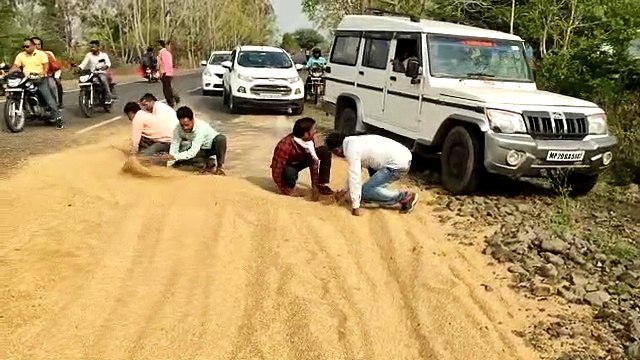 Trolley overturned due to truck collision, wheat scattered on road