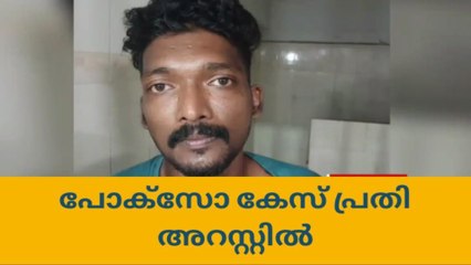 15 കാരിയെ തന്ത്രപരമായി കെണിയില്‍പെടുത്തി ബലാത്സംഗം; ബസ് തൊഴിലാളി പിടിയില്‍