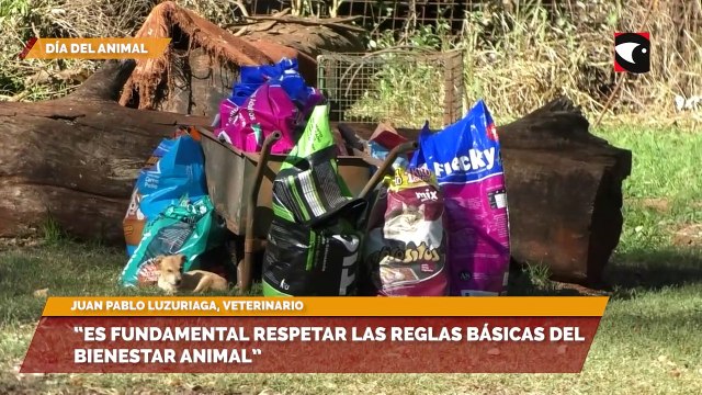 Las mascotas y los animales silvestres deben ser cuidados y protegidos desde sus necesidades básicas