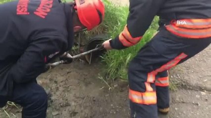 Milli Savunma Bakanı Akar borusuna sıkışan köpeği itfaiye ekipleri kurtardı