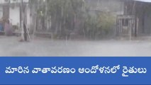 మునుగోడు: అకస్మాత్తుగా మారిన వాతావరణం..కురిసిన భారీ వర్షం