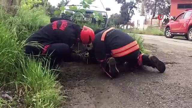 Boruya sıkışan köpeğin imdadına itfaiye yetişti!