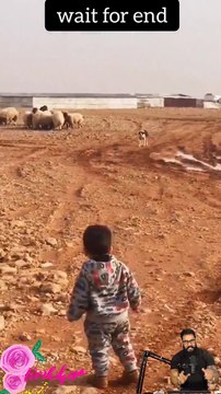 #trendingshorts #shortsvideo #shortvideos #shortsvideos #shortsvideotrends #shortsvideochannel 29-4