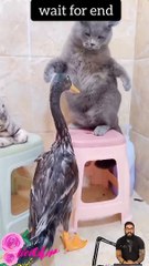 #today  #papular #viral #video #funny #001 #youtubeshorts #ytshorts #shorts #shortvideo #tranding 29 (2)