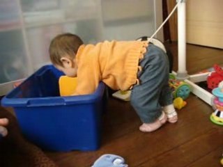 bébé joue