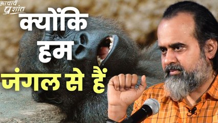 क्योंकि हम जंगल से हैं || आचार्य प्रशांत
