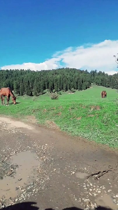 Kashmir ❤️ ❤️ ❤️