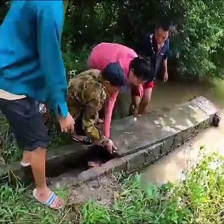 python et garcon
