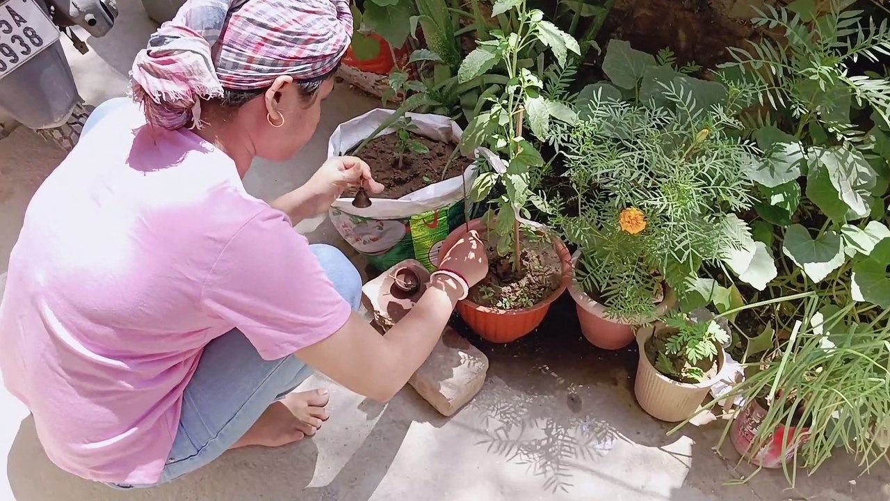 Babycon এর সঙ্গে কারা দেখা করতে এলো-Babycon blog-Mampu sona.