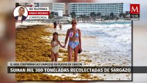 En Quintana Roo, continúan las limpiezas de sargazo en las playas