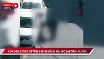 Beyoğlu'nda köpeğe eziyet ettiği belirlenen kişi gözaltına alındı 