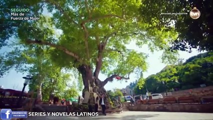 Fruto Prohibido Capitulo 11 en Español