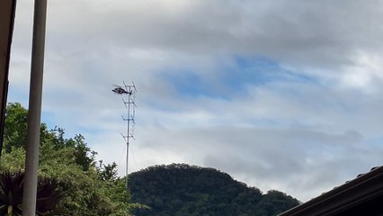 Police helicopter describe missing Unanderra man over loudspeaker