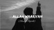 Allah Waariyan (Slowed+Reverb) - Yaariyan