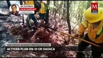 Activan plan DN-III para contener incendios forestales activos en Oaxaca