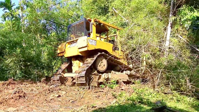 Caterpillar Bulldozer D6R XL Pushes Mountain Forest For Plantation Road