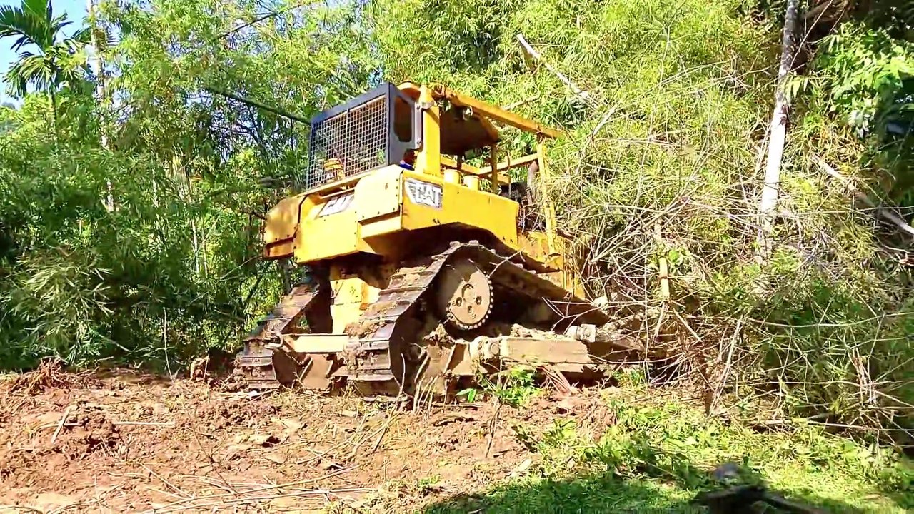 Caterpillar Bulldozer D6R XL Pushes Mountain Forest For Plantation Road