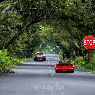 Lion Came in front of the Car After that #shorts #animals #animation #santoshvasava #lifestyle #ytshorts #free #shortvideo #shortvideo #foryou #natural #nature #car #amezing #wow #omg #minivlog #short #higway #highlights #forest #naturesounds