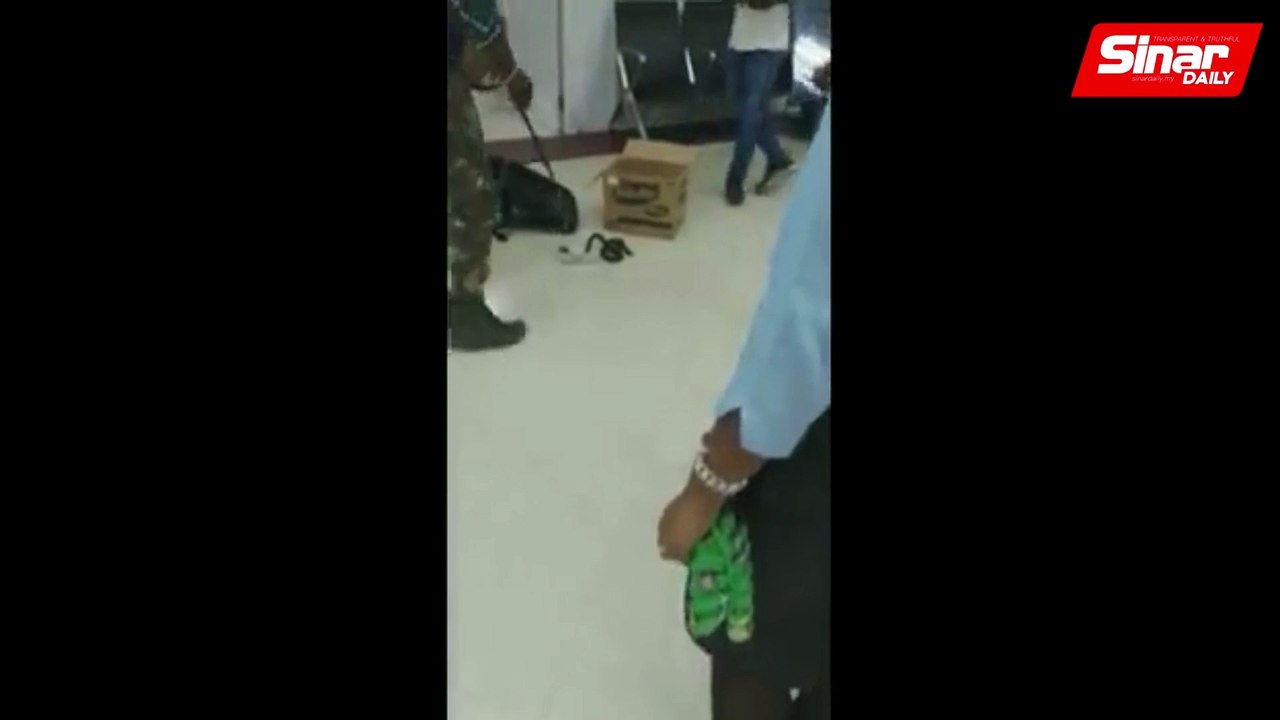 22 snakes seized from woman arriving at Chennai Airport from KL