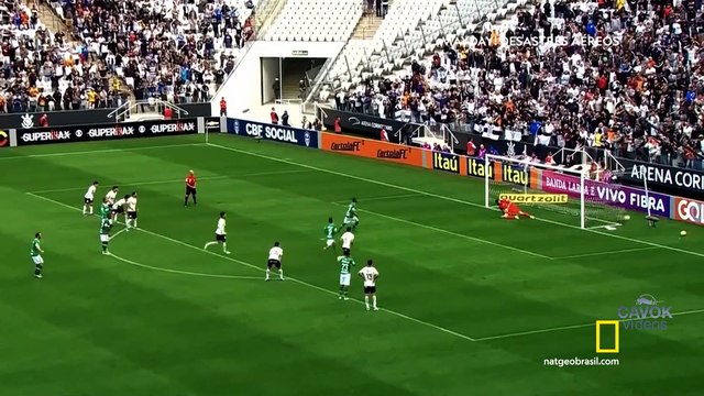 Mayday Desastres Aéreos - T19E09 - A tragédia da Chapecoense - LaMia 2933