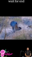 #trendingshorts #shortsvideo #shortvideos #shortsvideos #shortsvideotrends  #shortsvideochannel 30-4 (1)